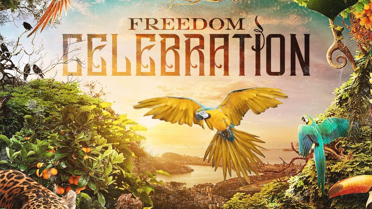 Freedom - Celebration