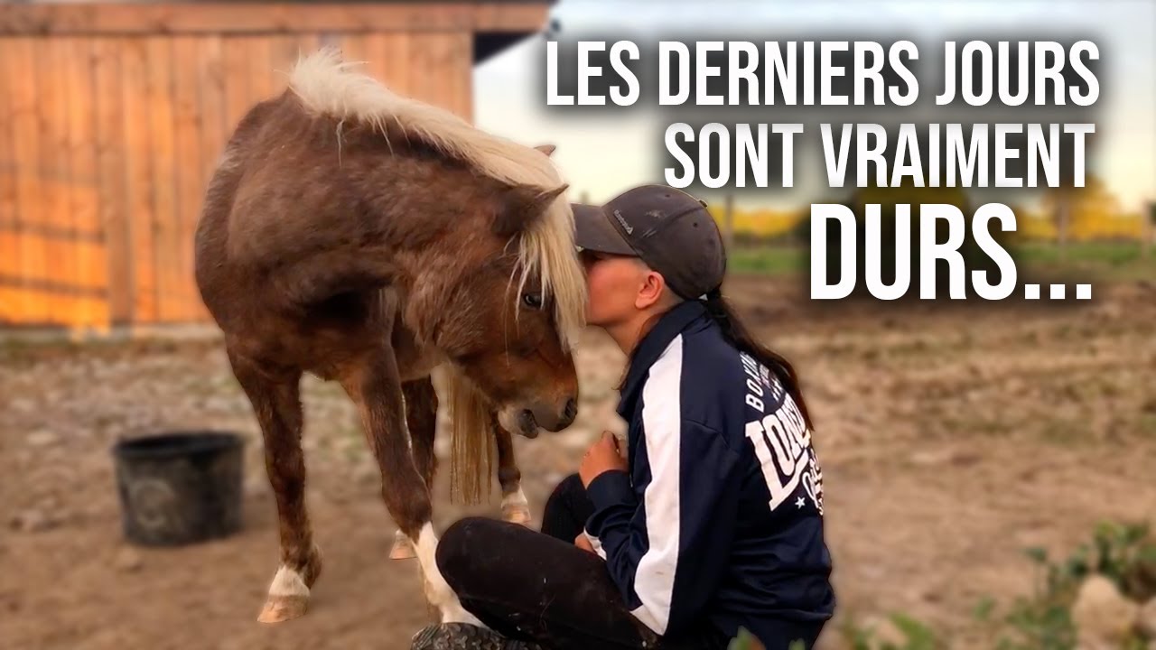ÇA SENT L'ARRIVÉE DU POULAIN !! 🍼