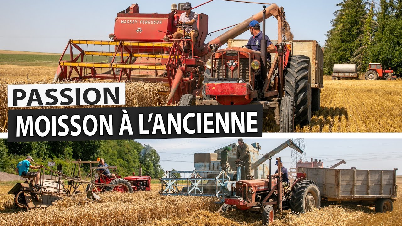 PASSION : Moissons à l'ancienne en Seine et Marne