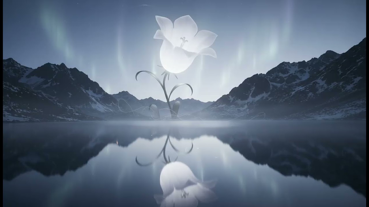 천손의 지혜: 도라지 (The Path of Wisdom)