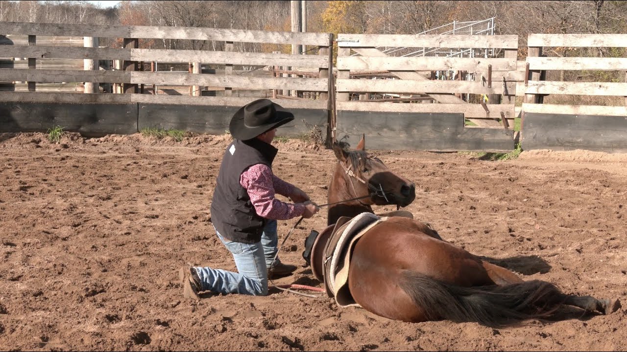 Laying Down A Horse with Jesse Krier - Greatmats Horse Training Series