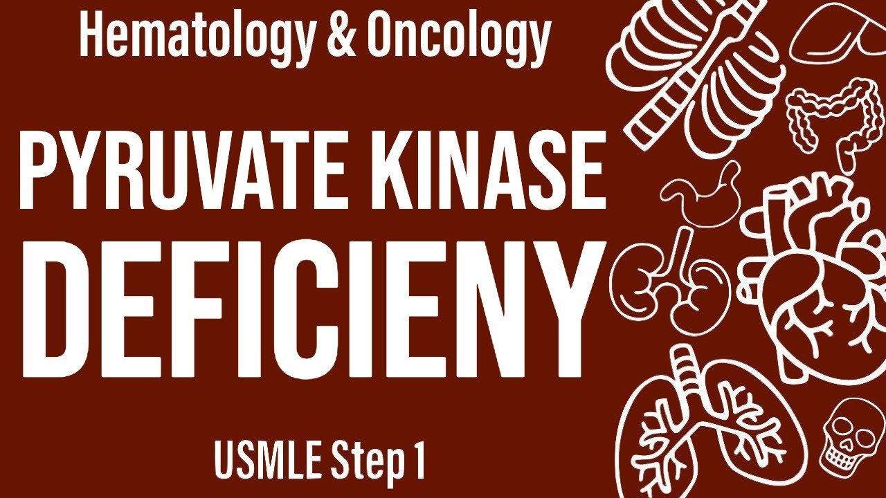 Дефицит пируваткиназы (гем/онк) &mdash; USMLE, шаг 1