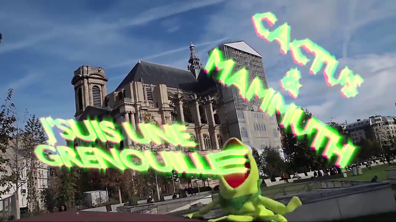 Cactus et Mammuth - J'suis une grenouille
