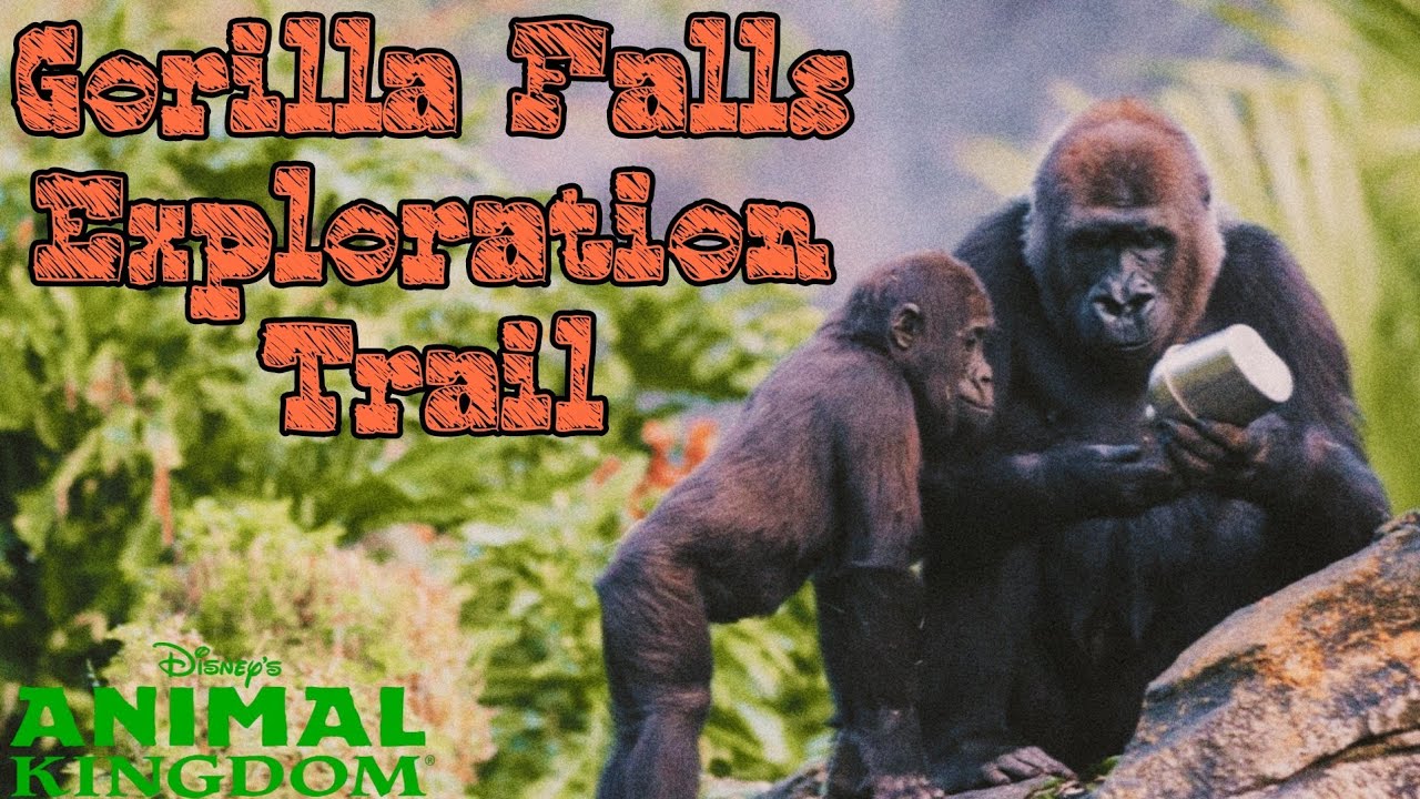 Disney's Animal Kingdom Gorilla Falls Exploration Trail | 2024 #disney #animalkingdom