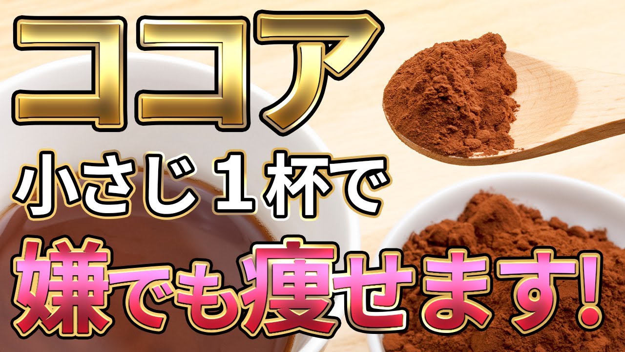 【100万再生感謝】ココアパウダーの効果がすごかった☕️混ぜると痩せる食材や、選び方、飲み方、レシピを徹底解説❗【痩せる／ダイエット／健康／食物繊維／腸活】