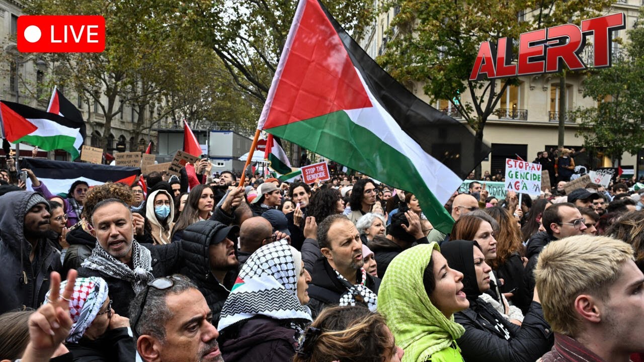 LIVE FROM PARIS: Pro-Palestine supporters march in Paris on UN Solidarity Day