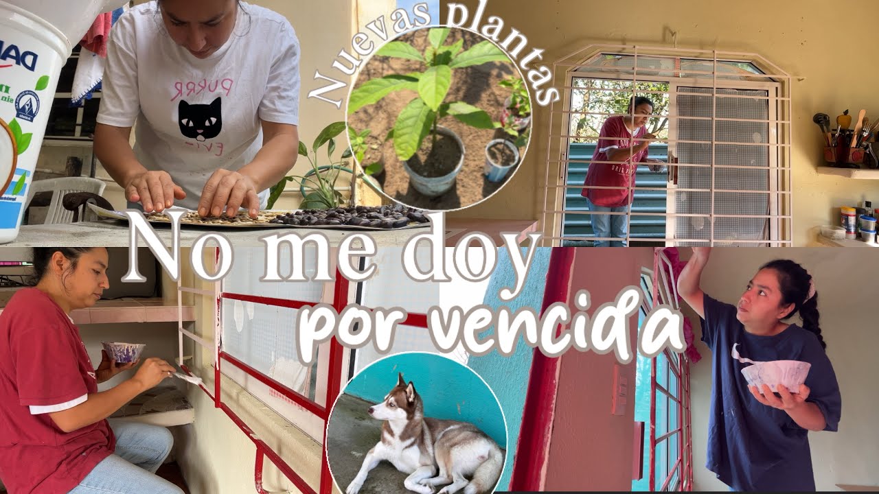 Mucho trabajo duro para poner bonita mi casita |Me regalaron árboles frutales 🥑 🏡