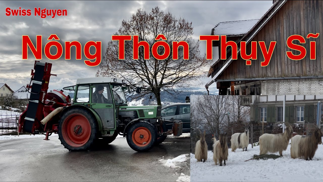 Nông Thôn Thụy Sĩ, NONG NGHIEP O THUY SI, Swiss Nguyen- canh der Thụy Sĩ-4#doisongnongthonthuysi