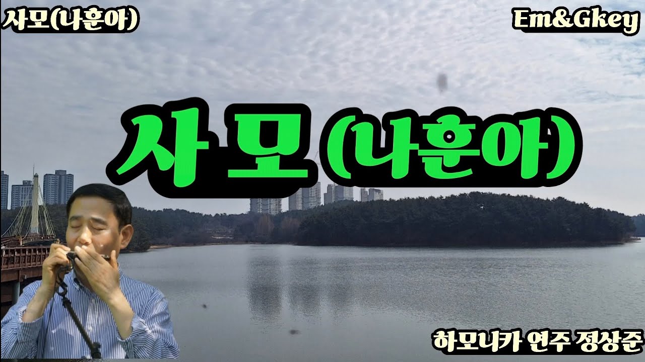 #사모(나훈아) 하모니카 연주 /정상준  Harmonica Em&Gkey,성정아  하모니카님 추천곡