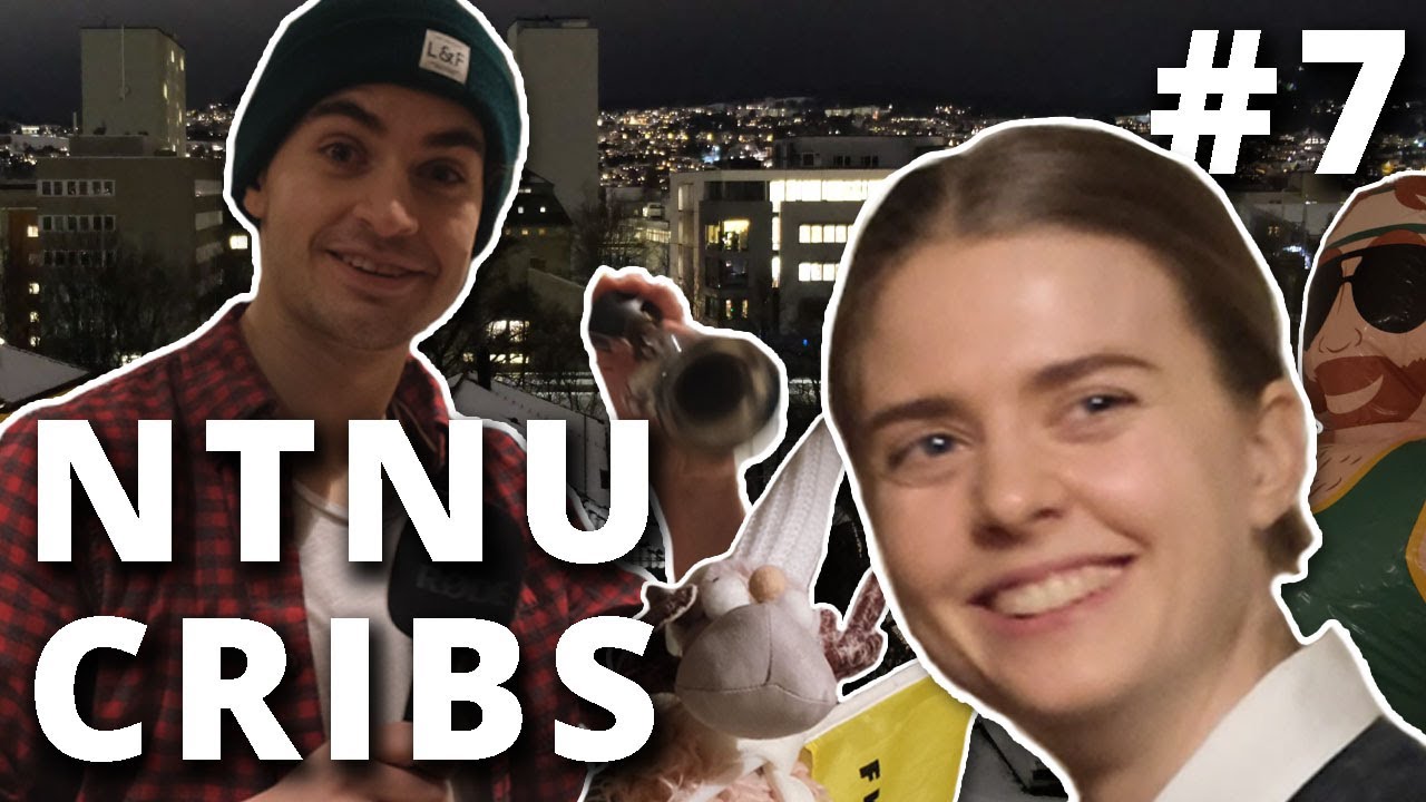 NTNU CRIBS #7 | Kollektiv med bestevenn?
