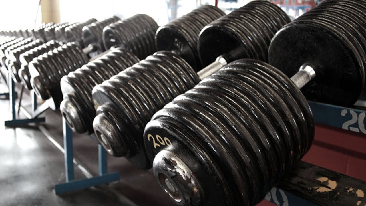 Most HARDCORE GYM Dave Palumbo's Trained At?