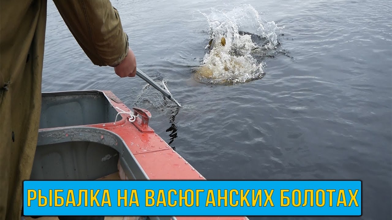 В Глушь, в Тайгу, на Самоизоляцию! Неделя рыбалки на Васюганских болотах!