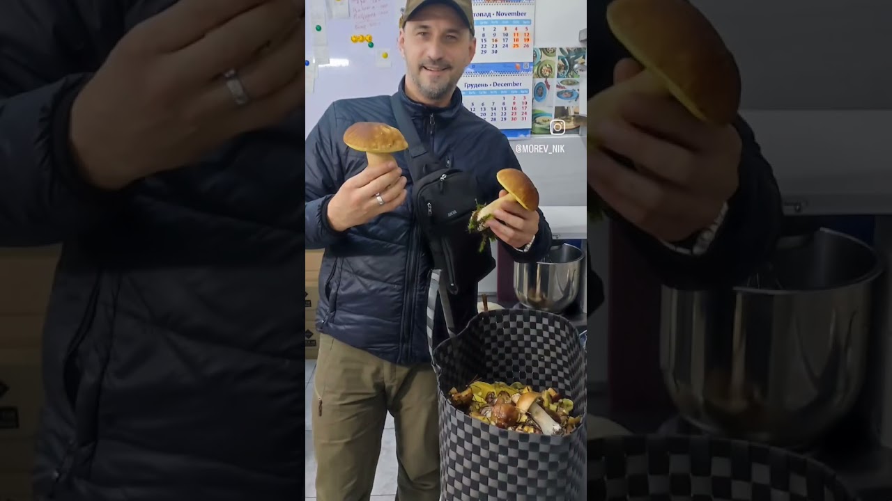 Грибне полювання #грибиукраїни #ліс #chefcook