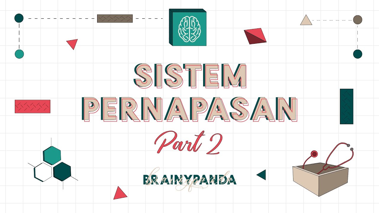 Anatomi Sistem Pernapasan | Ilmu Biomedik Dasar | Brainy Panda