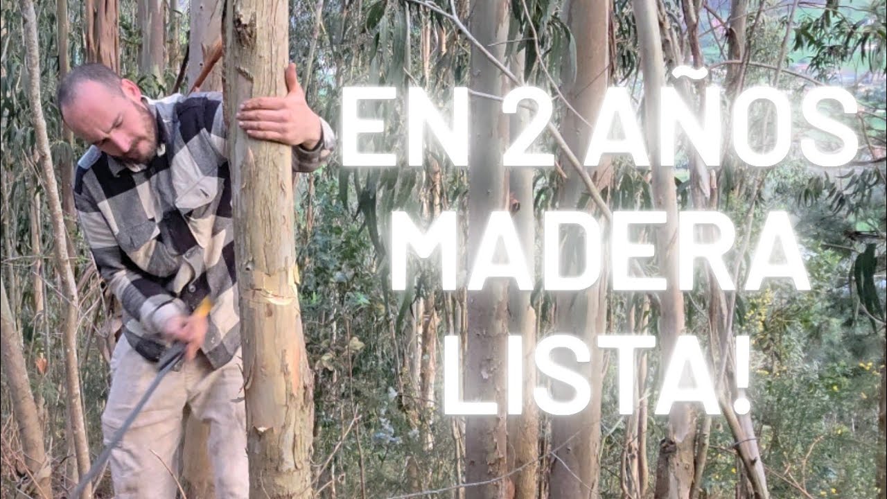 Con esta técnica TRABAJO LO JUSTO!