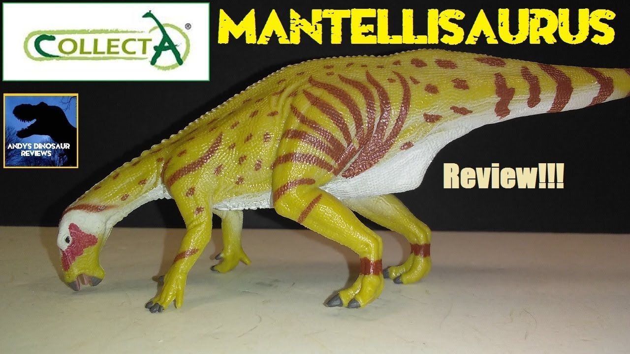 Collecta 
