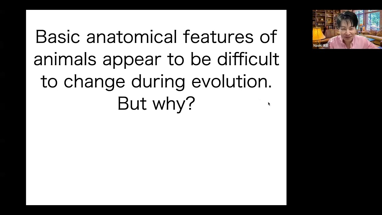 Bridging Theory and Experiments: Naoki Irie
