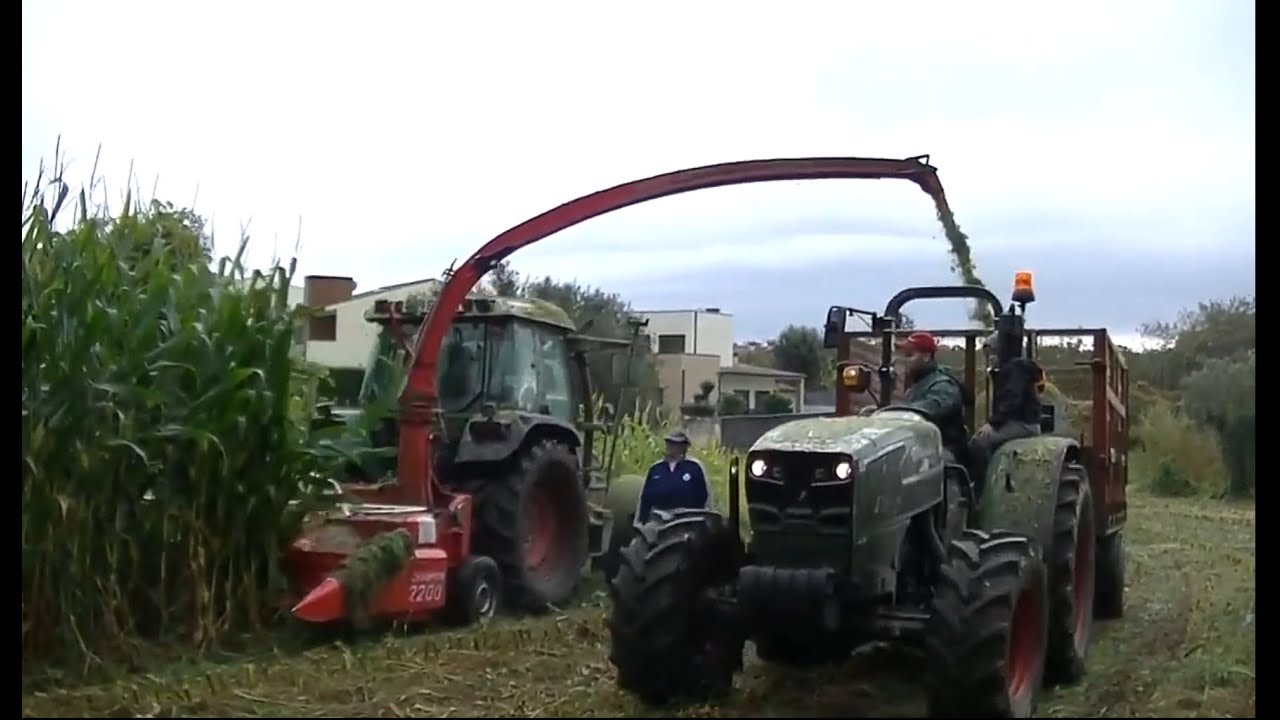 FENDT 309 CI//HURLIMANN XE 90//CORN SILAGE//SILAGEM PORTUGAL//