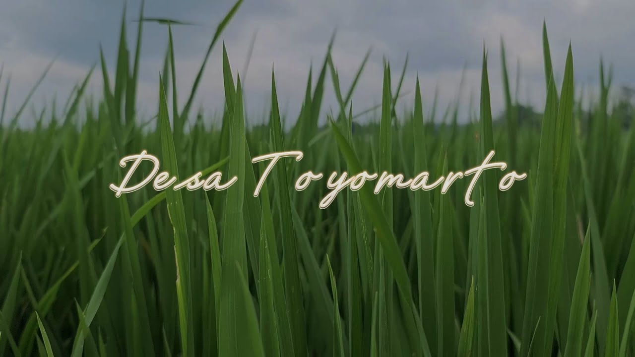 Toyomarto Desa Wisata Sejarah dan Budaya