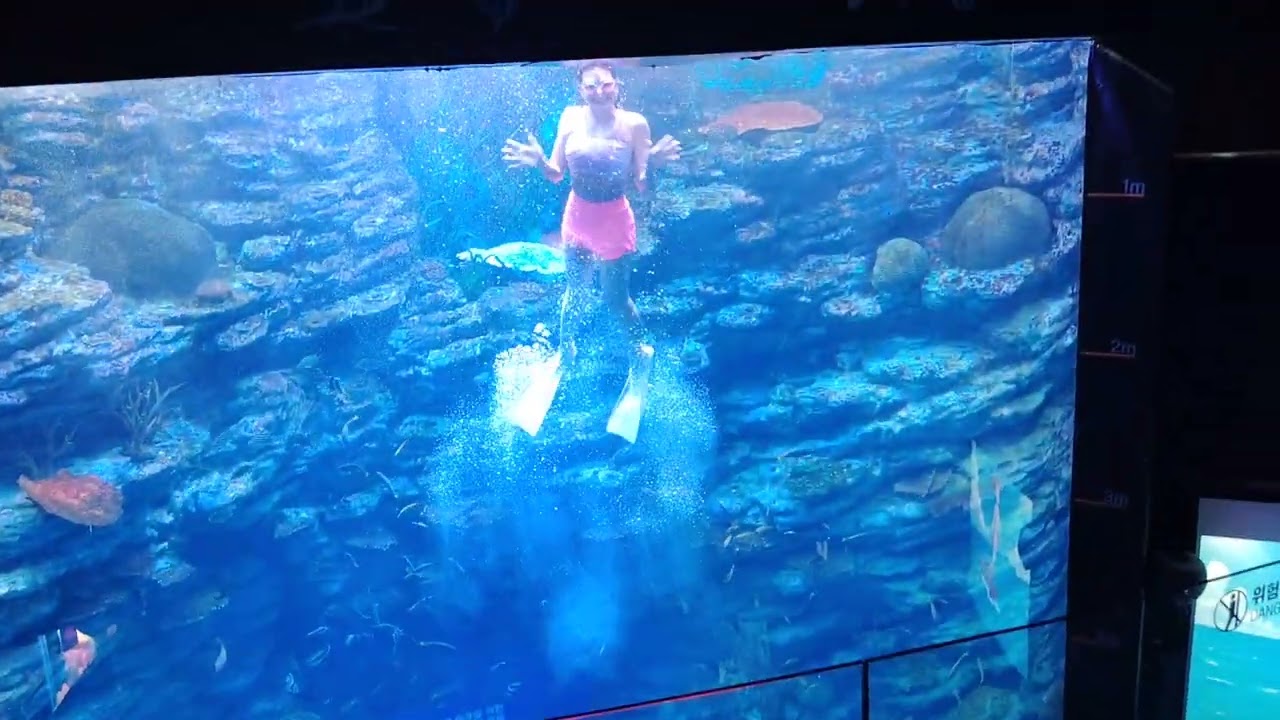 Part 2 : Live show ng mga Mermaids dito sa Sealife Busan Aquarium, sa Busan, South Korea
