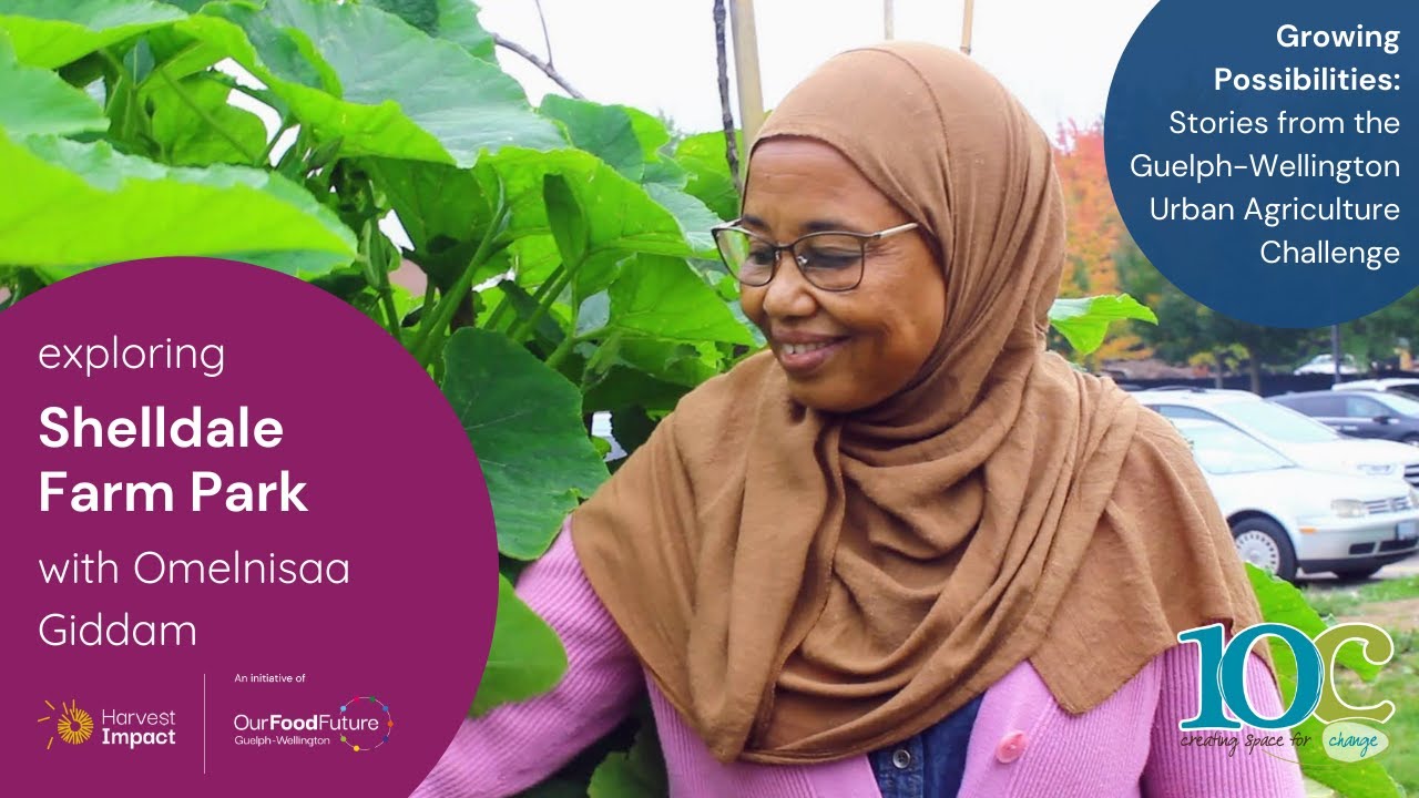 Shelldale Farm Park | Growing Possibilities: Stories from the GWUAC