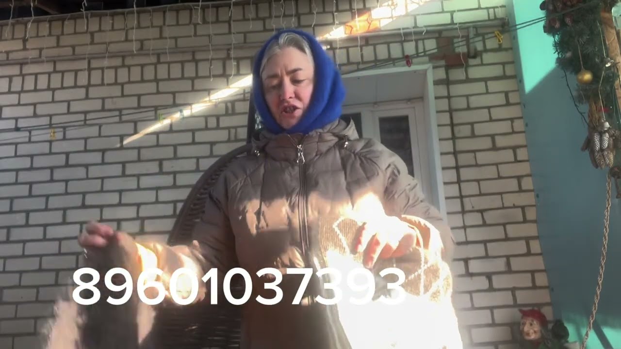 17 февраля 2026 г.