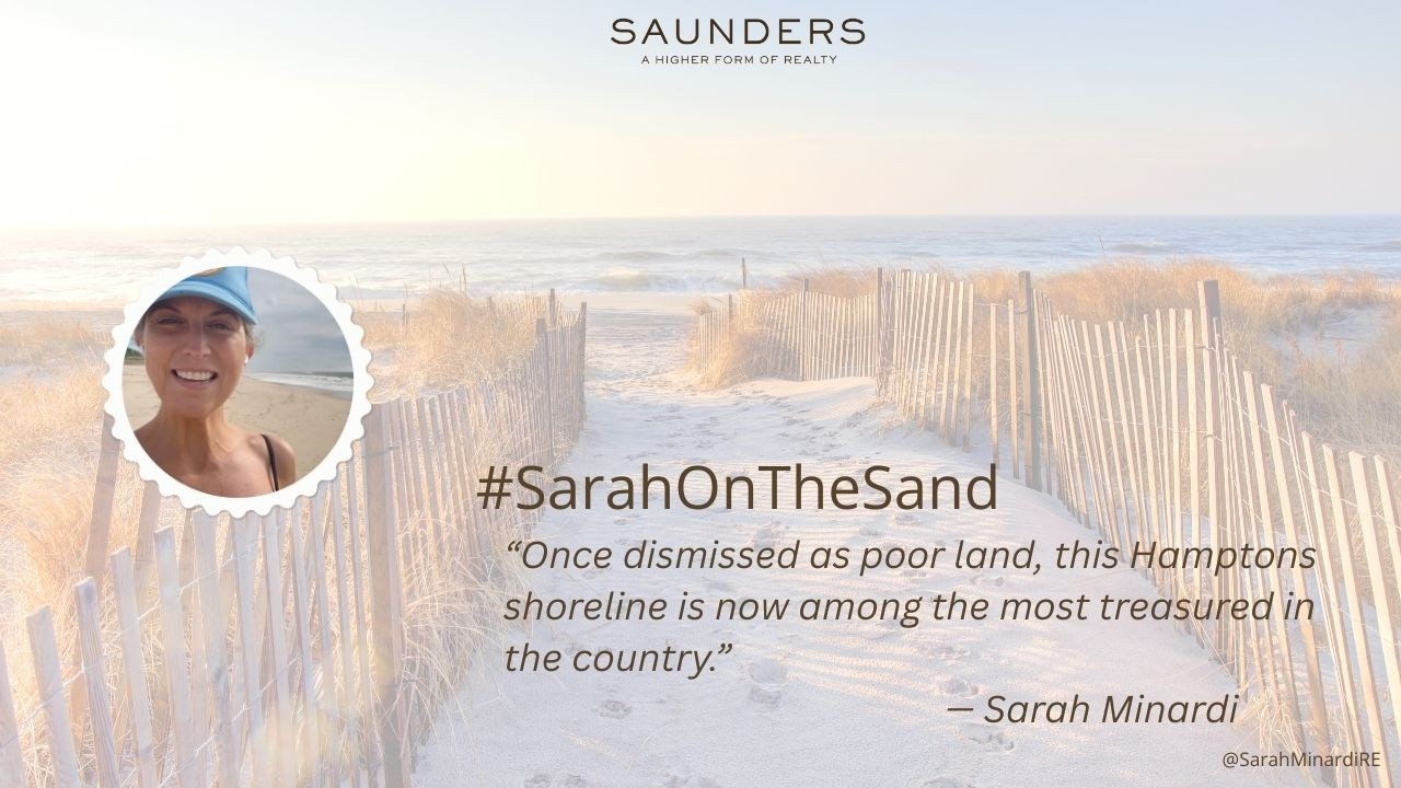 #SarahOnTheSand: How the Hamptons Shoreline Redefined Value