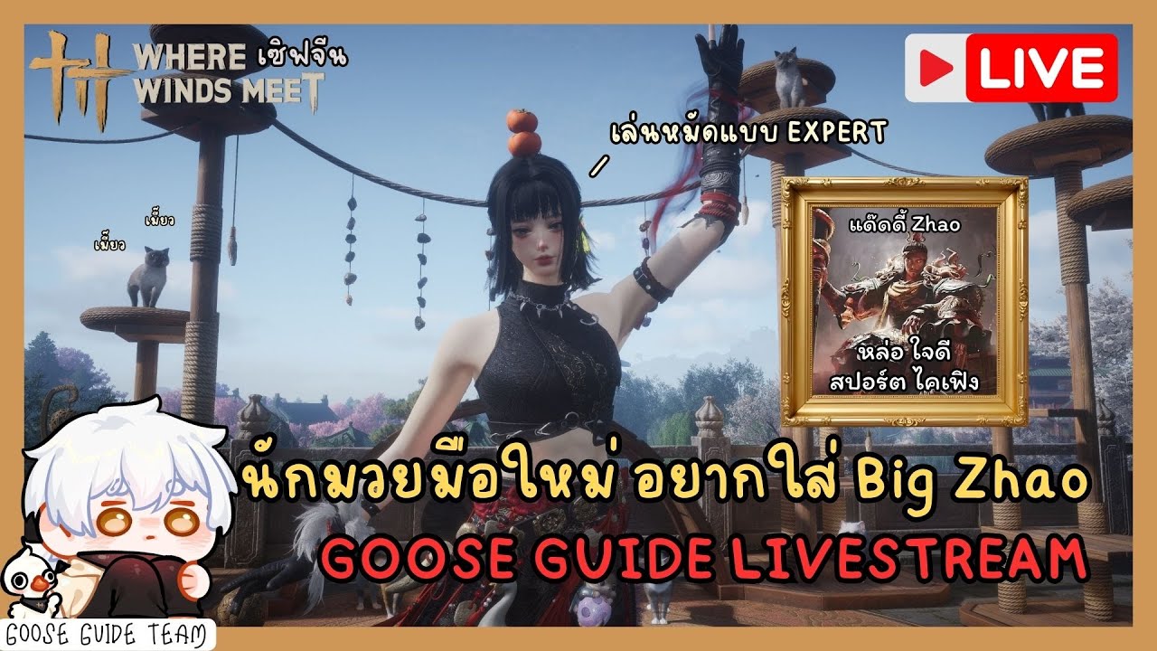 [🔴LIVE] นักมวยมือใหม่ อยากใส่เดี่ยว Big Zhao