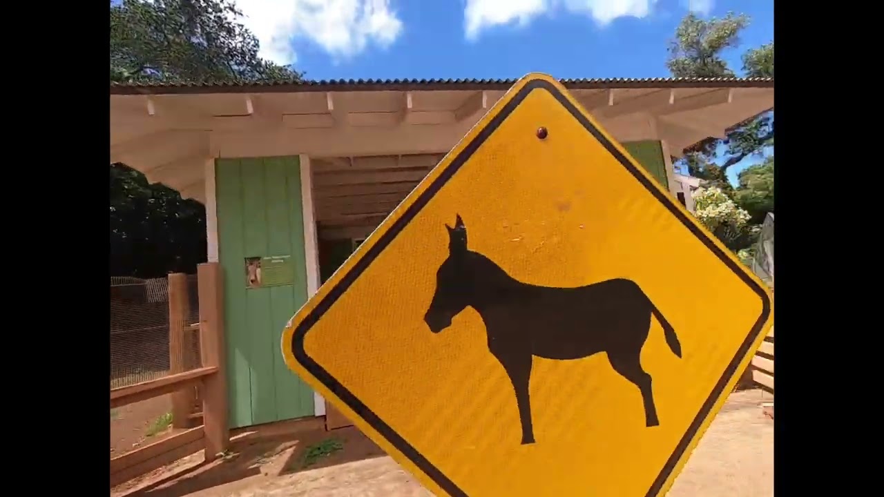 Exploring the Honolulu Zoo - This Zoo is Amazing!
