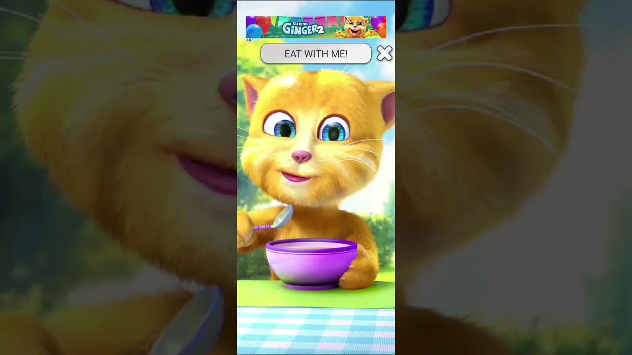 Talking Ginger 2🤣 Talking Ginger Tom 