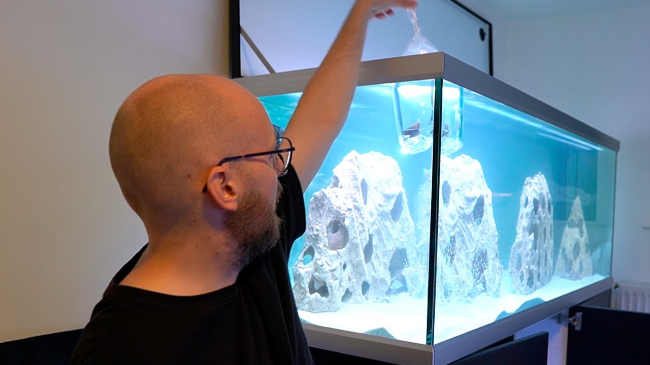 Smider fisk i 576 liters paradis