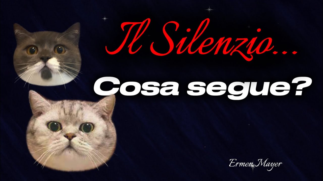 🤫SIETE NEL SILENZIO PIÙ TOTALE.. Cosa segue?