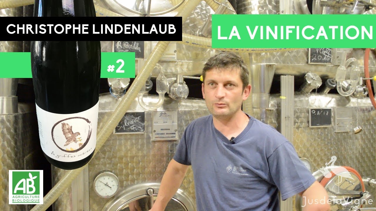 Christophe Lindenlaub - Riesling nature - #2 La vinification nature