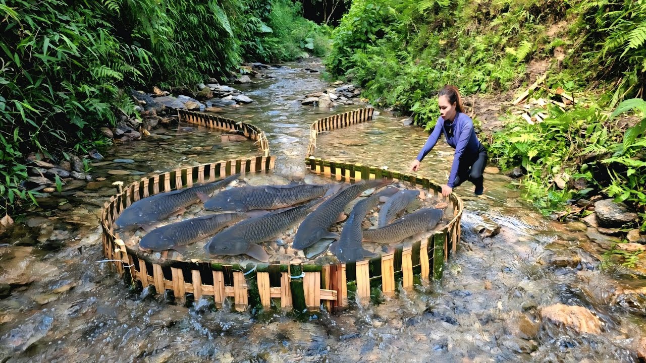 Technique of catching stream fish with bamboo tools