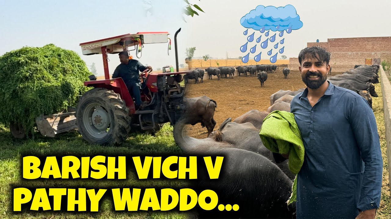BARISH VICH PATHY WADNY BOHT OKHY AY SARA DIN KAM NI MOKDA 🥹🥹Waqar Bhinder 😎😎