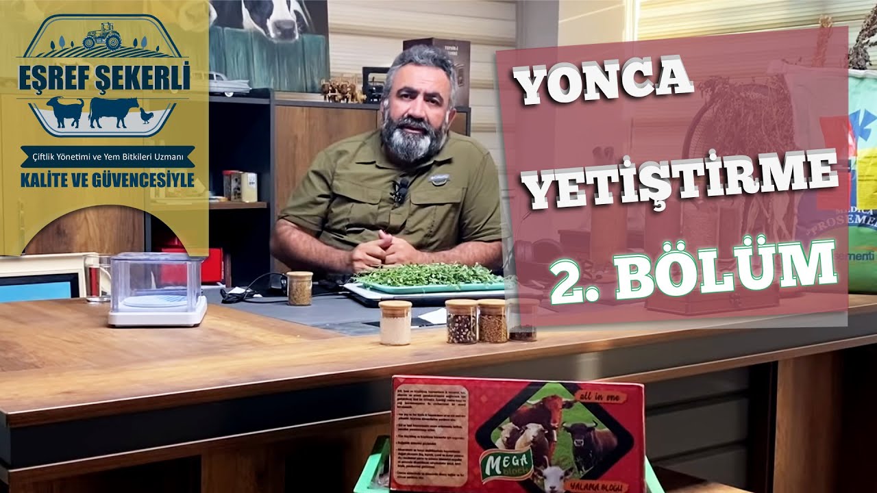 Yonca Yetiştiriciliği - 2. Bölüm #Yonca