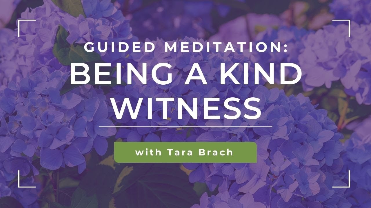 Guided Meditation: Being a Kind Witness with Tara Brach