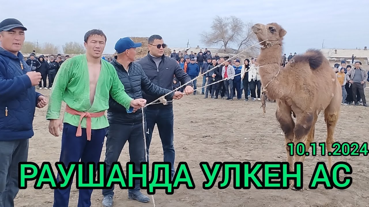 КОНЫРАТ РАЙОНЫНДА УЛКЕН АС ПАЛУАНЛАР ГУРЕСИ 10.11.2024