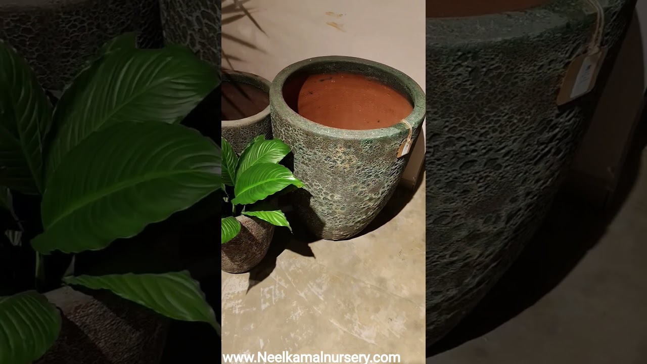 Antique-big-rustic-clay-pot-vintage-antique@Neelkamal nursery Jaipur Rajasthan mo.9351409212
