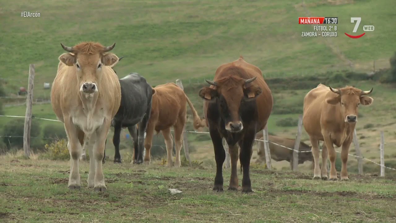 El Arcón (348).- La tierra de los pasiegos burgaleses en Espinosa de los Monteros | Parte 1