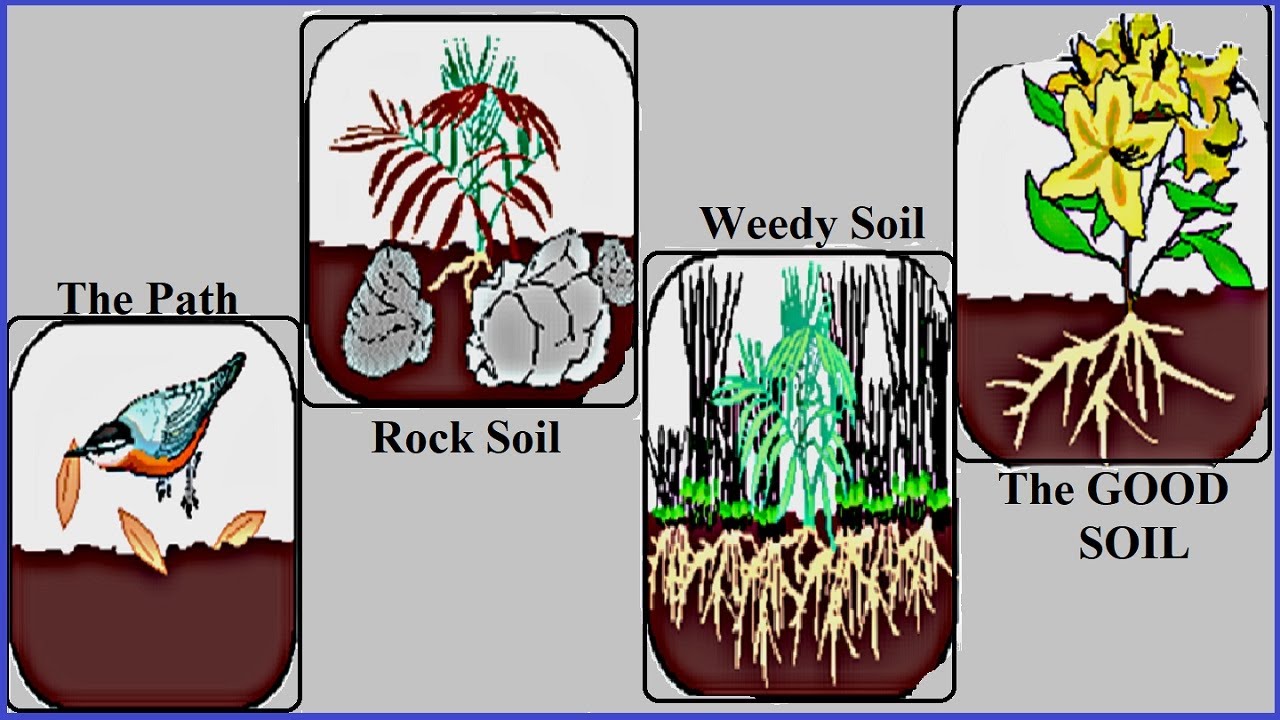 The Sower and the Soil - Contemporary Service (Streaming 1-25-2026)