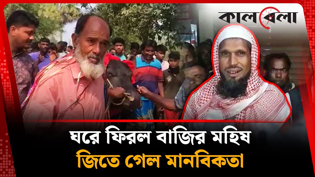 মানবিকতার কাছে হেরে গেল রাজনীতি | Emotional Story | Kalbela News