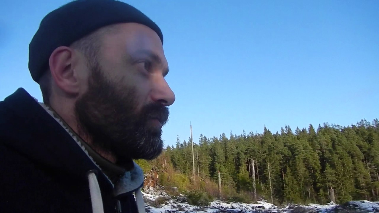 Untouched Swedish Forest vs Wood industry..