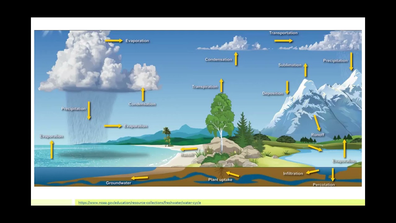 La Posta EPA Outreach Program   The Water Cycle 1