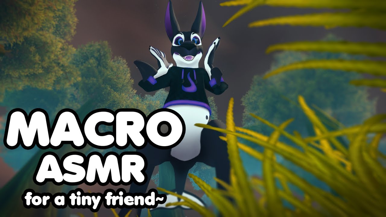 ASMR - MACRO an chill~