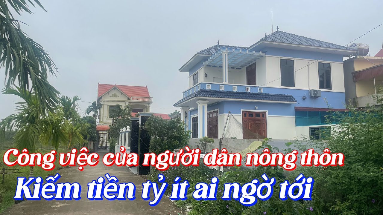 Những công việc người dân nông thôn kiếm tiền tỷ ít ai ngờ tới 