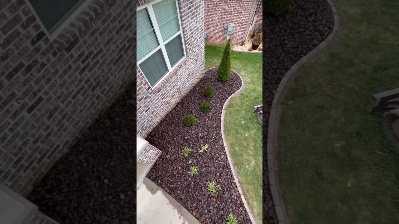 Didn&rsquo;t Remove Grass