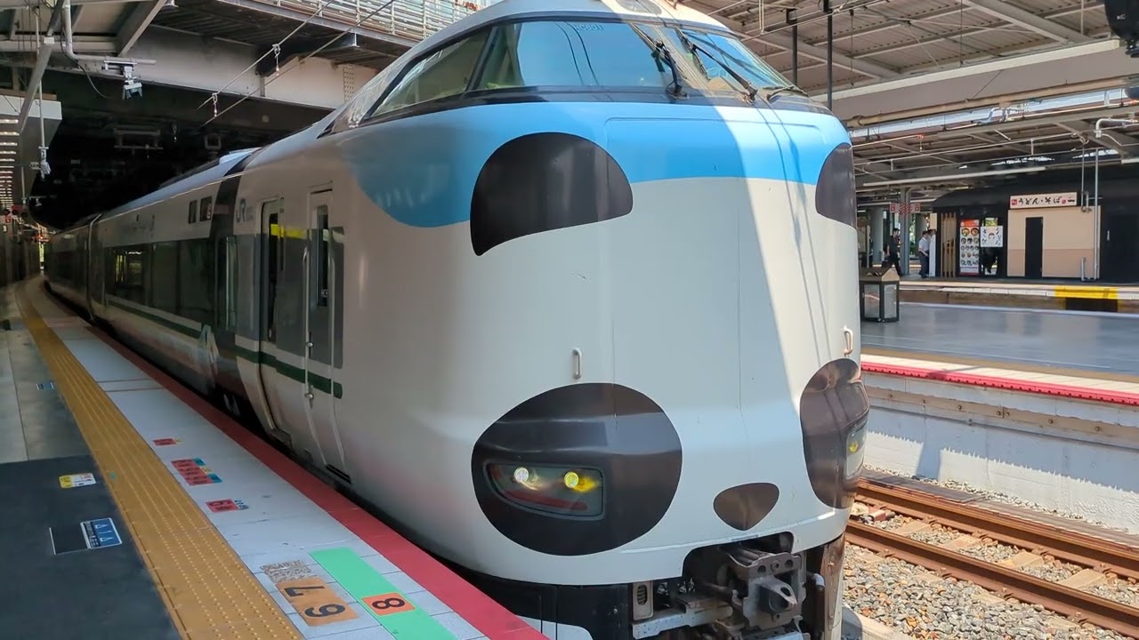 287系特急くろしおパンダ白浜行き新大阪駅発車！2025年7月31日