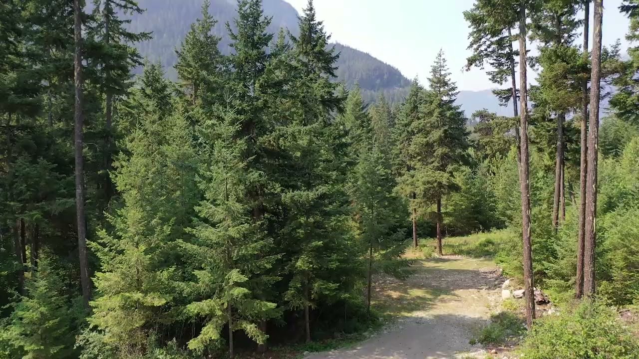 Lot 1 Summit Road, Birken BC
