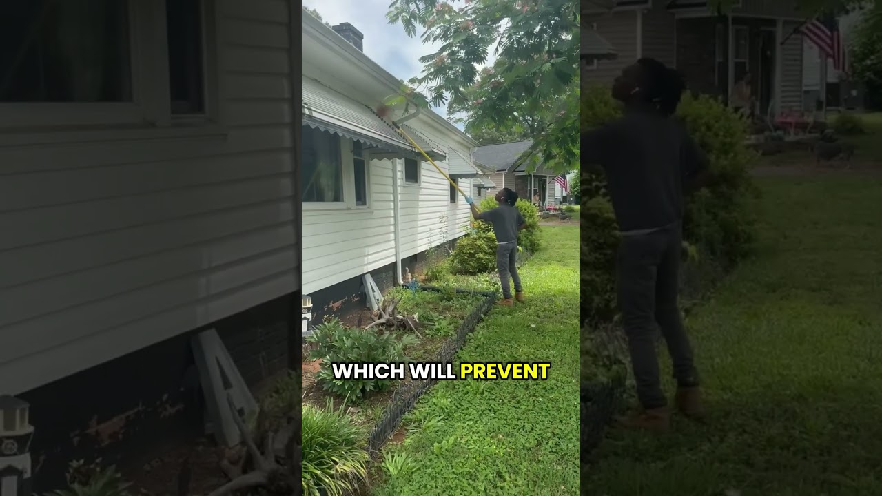 🪲🐝Roaches? Spiders? Ants? Game Over #pestcontrol #pestcontroltips #bugbusters #deltadust